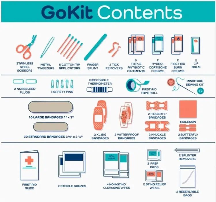First Aid Adult Go Kit - Curated Kit Co